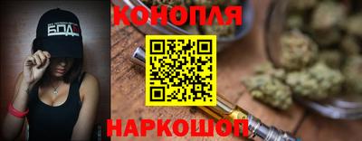 сатива Малгобек
