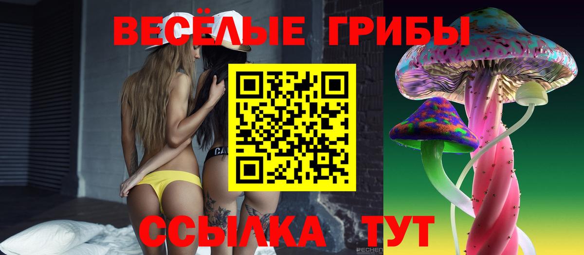 Псилоцибиновые грибы Psilocybe Электросталь