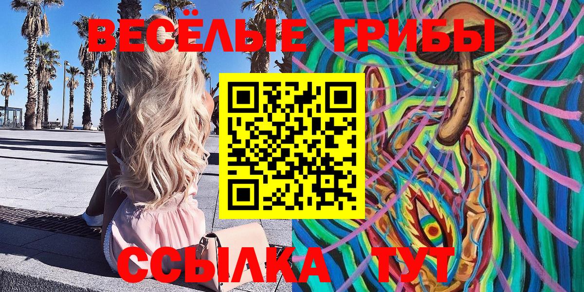 Псилоцибиновые грибы мицелий  Вход с VPN  Электросталь 